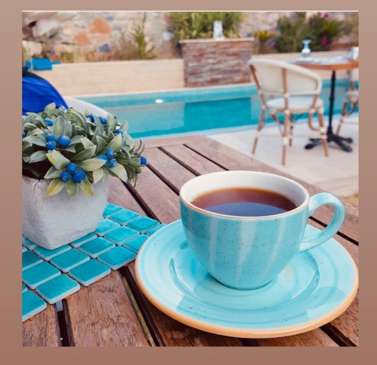 Livia Garden Hotel Сельчук Экстерьер фото